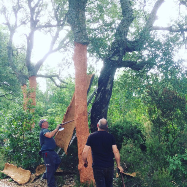 Agriturismo Casa Nati (52)