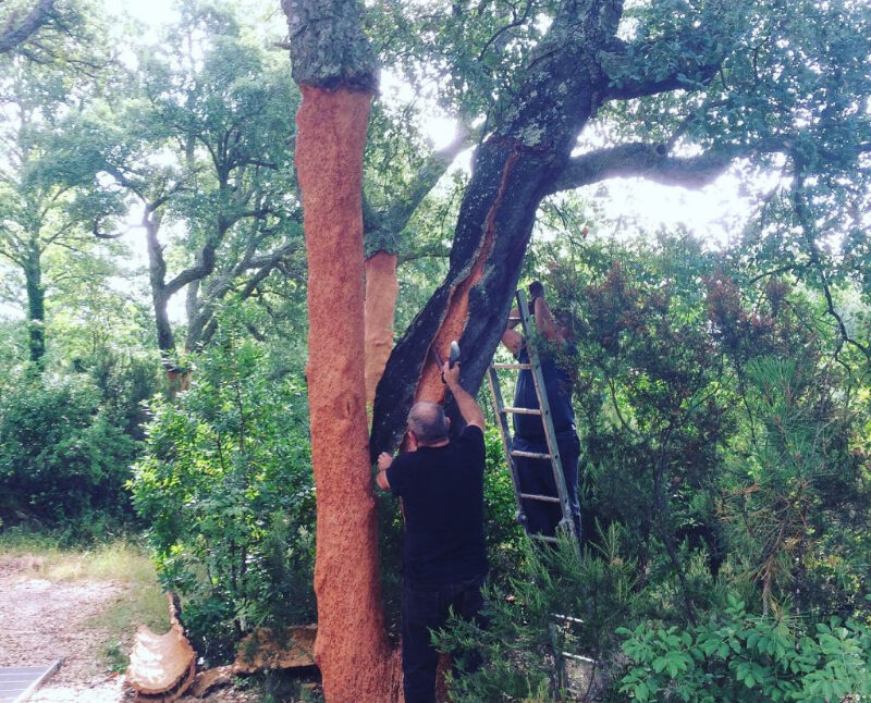 Agriturismo Casa Nati (53)