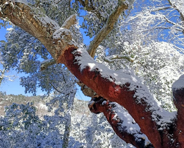 Agriturismo Casa Nati (82)