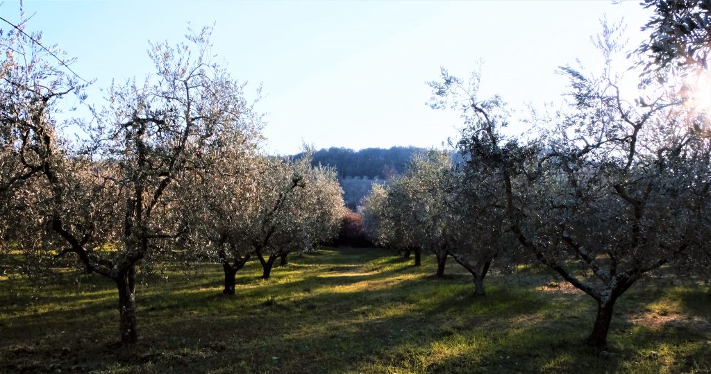 Agriturismo Casa Nati 8